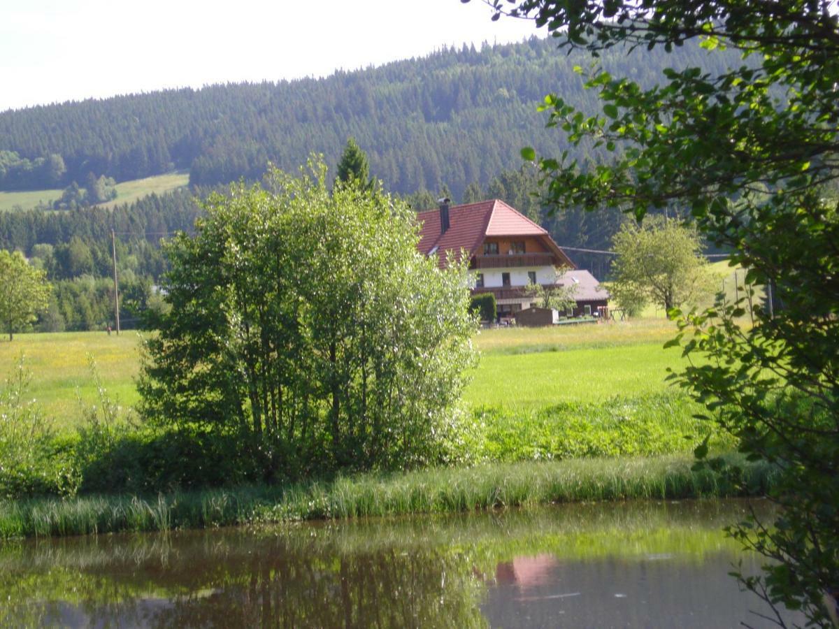 Ferienhaus Ehinger Apartamento Breitnau Exterior foto