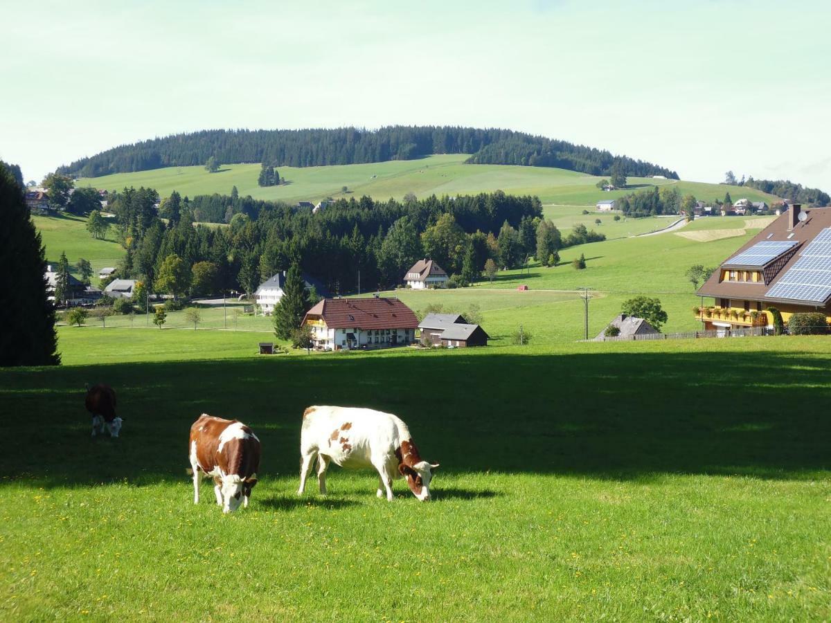 Ferienhaus Ehinger Apartamento Breitnau Exterior foto