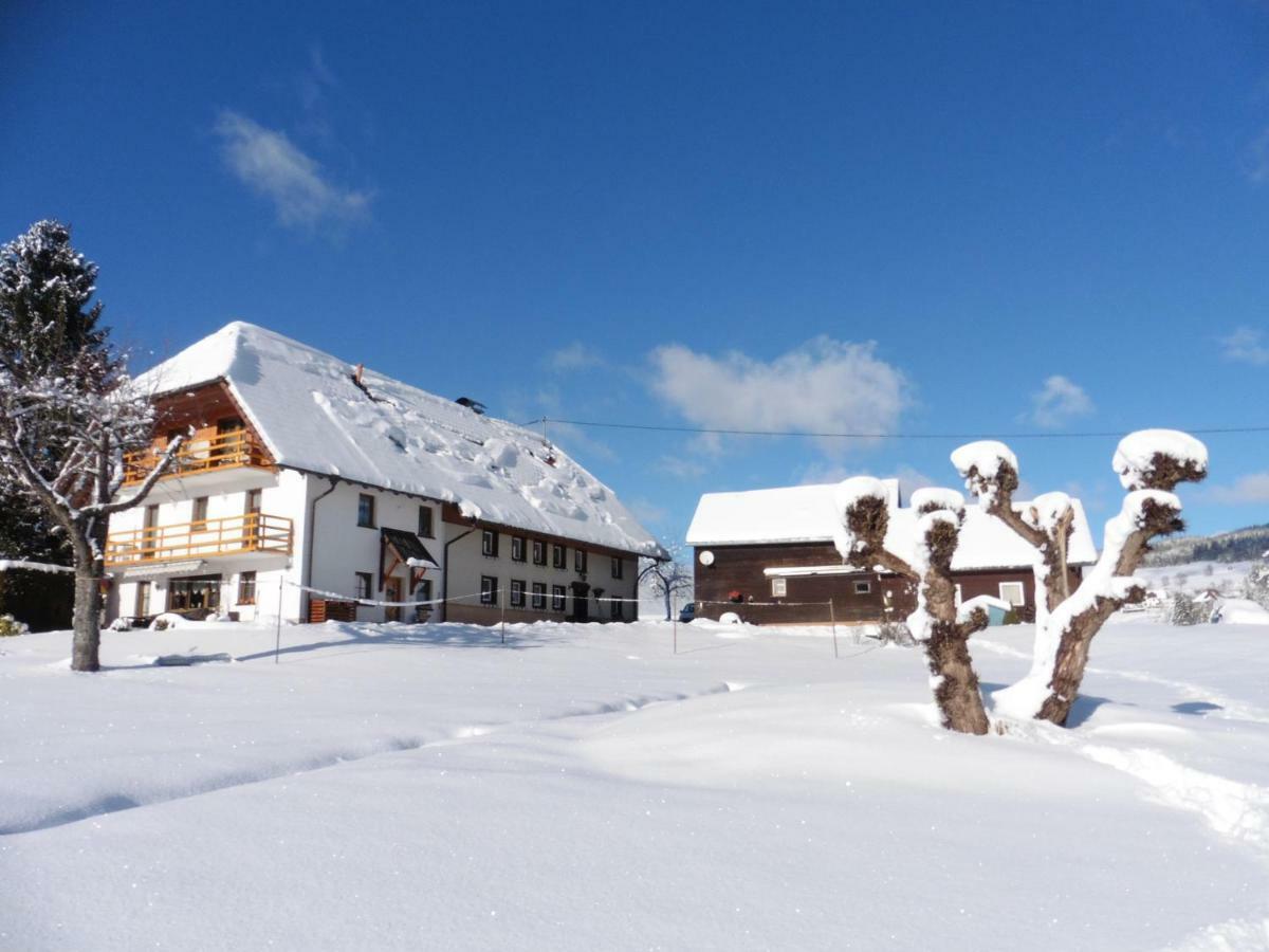 Ferienhaus Ehinger Apartamento Breitnau Exterior foto