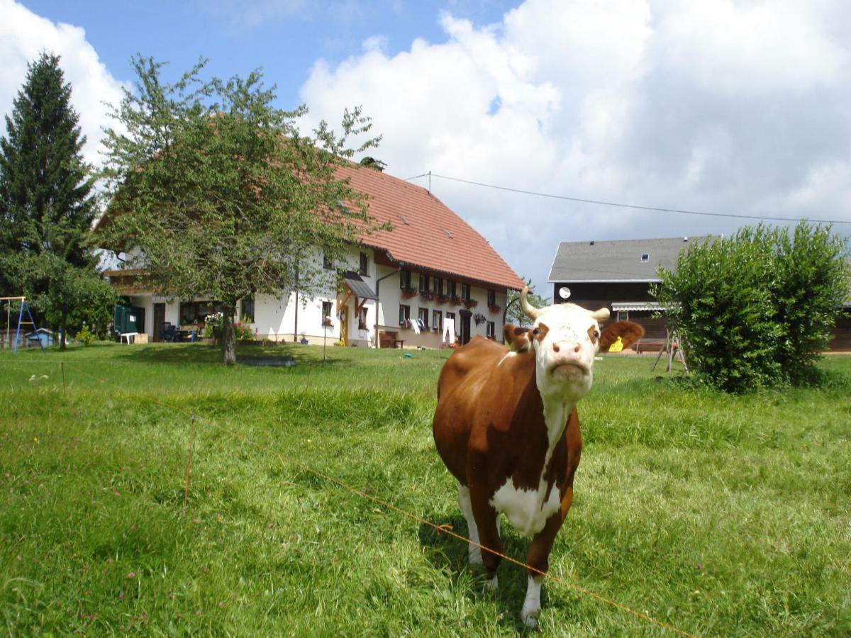 Ferienhaus Ehinger Apartamento Breitnau Exterior foto