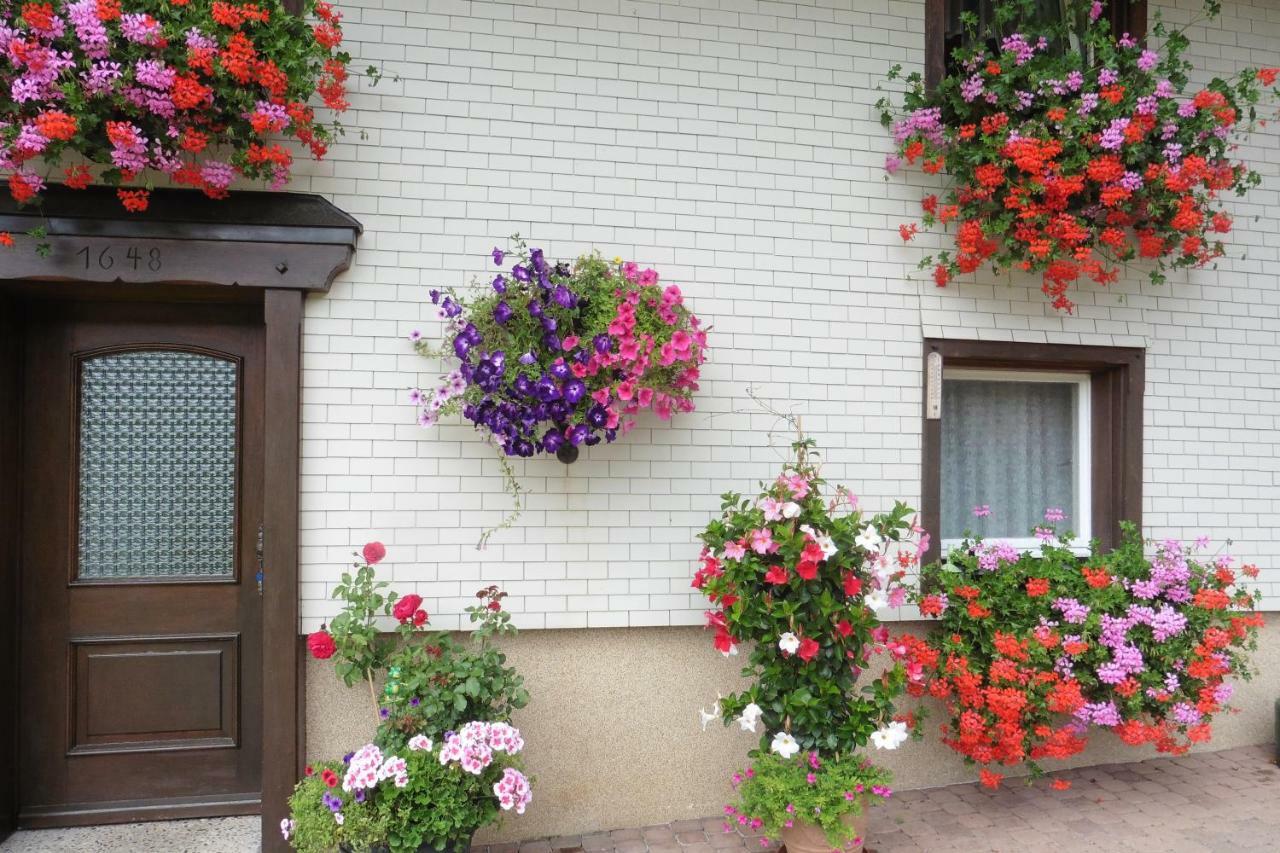 Ferienhaus Ehinger Apartamento Breitnau Exterior foto